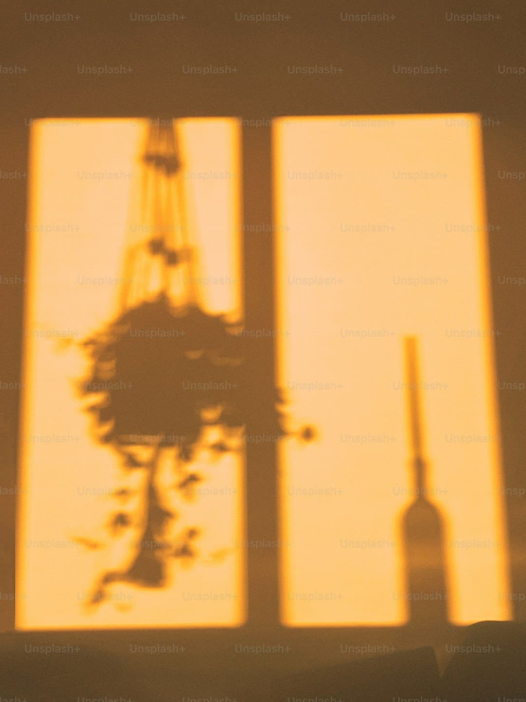 新开户投资者须知（各交易所股票涨跌幅限制）